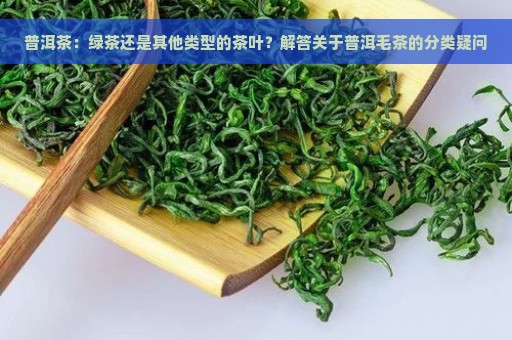 普洱茶：绿茶还是其他类型的茶叶？解答关于普洱毛茶的分类疑问