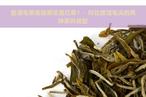 普洱毛茶是绿茶还是红茶？ - 对比普洱毛尖的两种茶叶类型