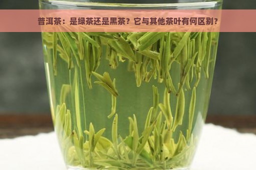 普洱茶：是绿茶还是黑茶？它与其他茶叶有何区别？