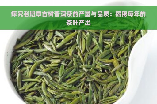 探究老班章古树普洱茶的产量与品质：揭秘每年的茶叶产出