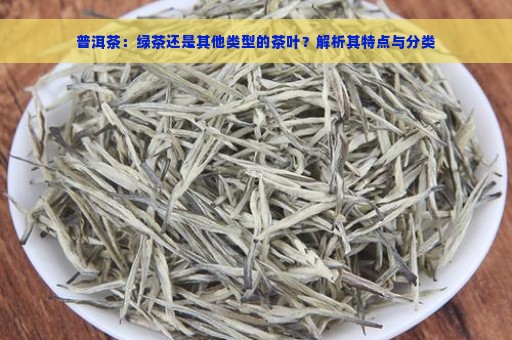 普洱茶：绿茶还是其他类型的茶叶？解析其特点与分类