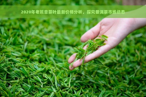 2020年老班章茶叶最新价格分析，探究普洱茶市场动态