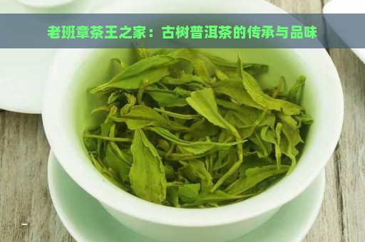 老班章茶王之家：古树普洱茶的传承与品味