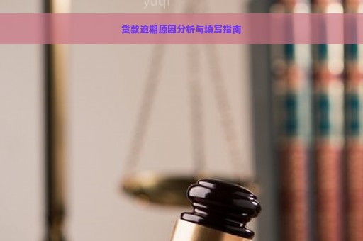 货款逾期原因分析与填写指南