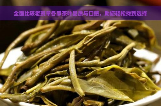 全面比较老班章各家茶叶品质与口感，助您轻松找到选择