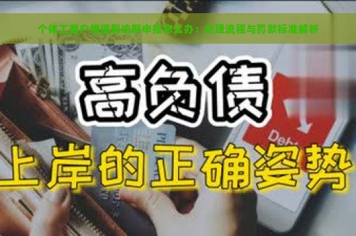 个体工商户增值税逾期申报怎么办：处理流程与罚款标准解析