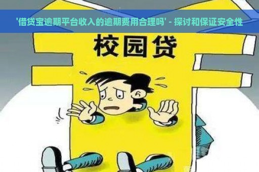 '借贷宝逾期平台收入的逾期费用合理吗' - 探讨和保证安全性