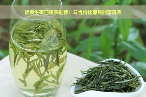 优质生茶口粮茶推荐：与性价比兼具的普洱茶