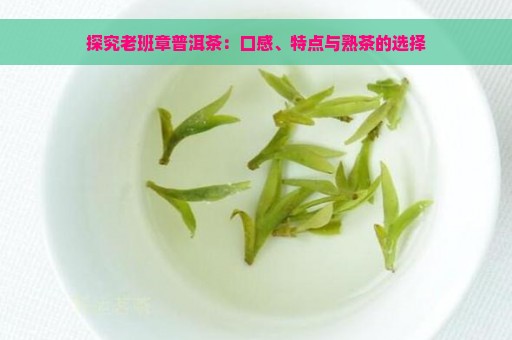 探究老班章普洱茶：口感、特点与熟茶的选择