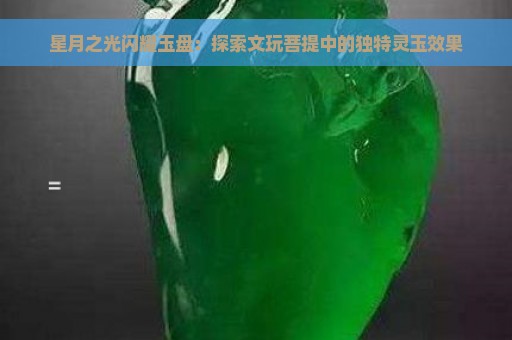 星月之光闪耀玉盘：探索文玩菩提中的独特灵玉效果