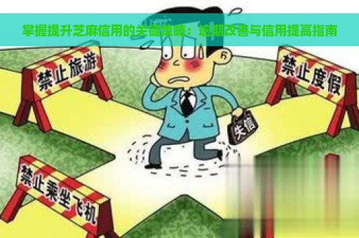 掌握提升芝麻信用的关键策略：逾期改善与信用提高指南