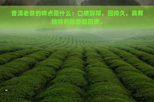 普洱老茶的特点是什么：口感醇厚，回持久，具有独特的陈香和菌香。