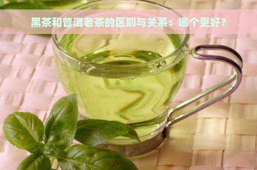 黑茶和普洱老茶的区别与关系：哪个更好？