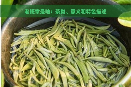 老班章是啥：茶类、意义和特色描述