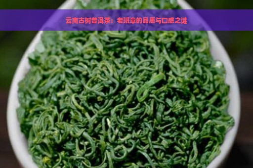 云南古树普洱茶：老班章的品质与口感之谜