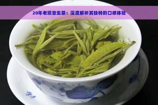 20年老班章生茶：深度解析其独特的口感体验