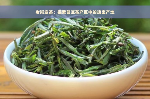 老班章茶：探索普洱茶产区中的瑰宝产地