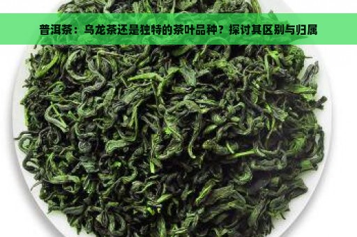 普洱茶：乌龙茶还是独特的茶叶品种？探讨其区别与归属