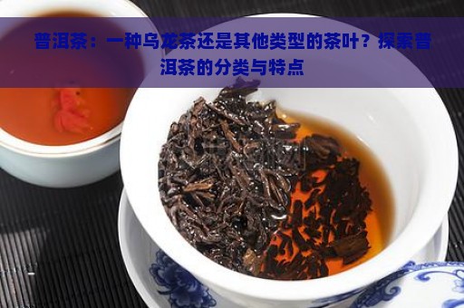 普洱茶：一种乌龙茶还是其他类型的茶叶？探索普洱茶的分类与特点