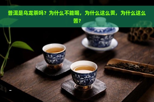 普洱是乌龙茶吗？为什么不能喝，为什么这么贵，为什么这么苦？