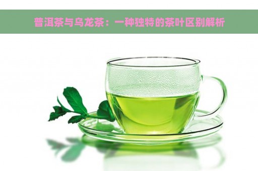 普洱茶与乌龙茶：一种独特的茶叶区别解析