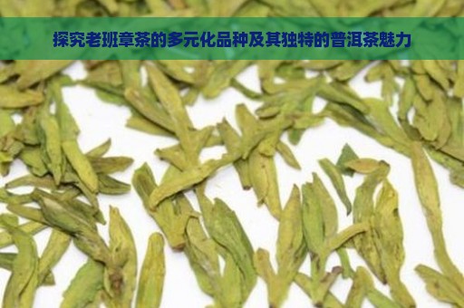 探究老班章茶的多元化品种及其独特的普洱茶魅力