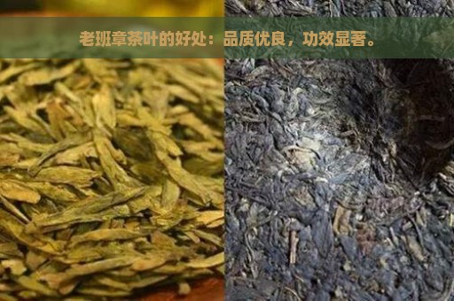 老班章茶叶的好处：品质优良，功效显著。