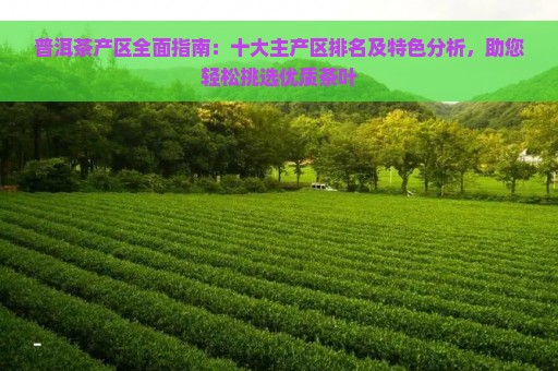 普洱茶产区全面指南：十大主产区排名及特色分析，助您轻松挑选优质茶叶