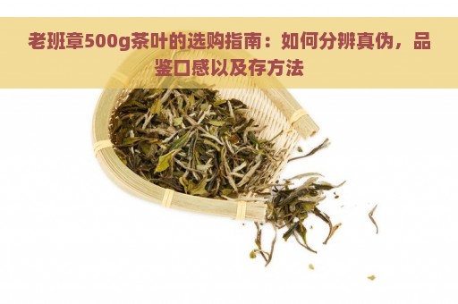 老班章500g茶叶的选购指南：如何分辨真伪，品鉴口感以及存方法