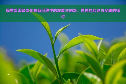 探索普洱茶文化在新征程中的发展与创新：思想的启迪与实践的探讨