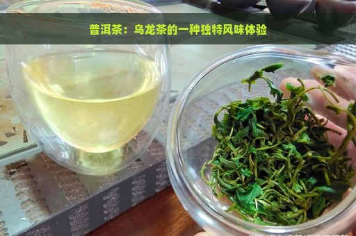 普洱茶：乌龙茶的一种独特风味体验