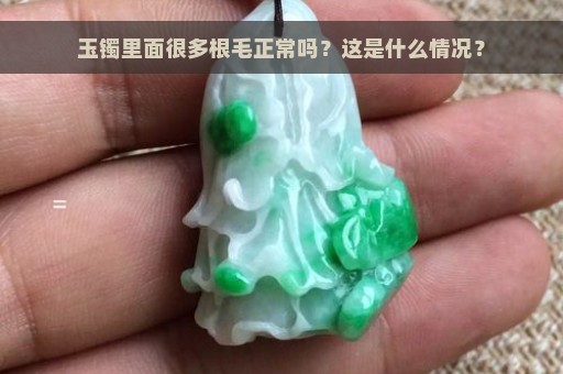 玉镯里面很多根毛正常吗？这是什么情况？