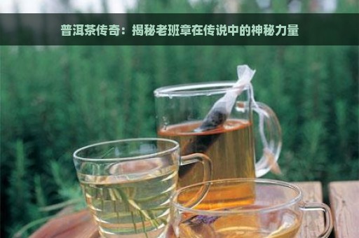 普洱茶传奇：揭秘老班章在传说中的神秘力量