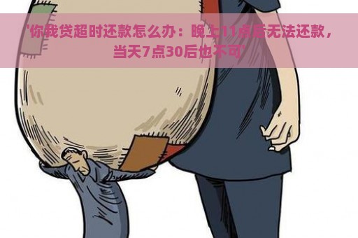 '你我贷超时还款怎么办：晚上11点后无法还款，当天7点30后也不可'