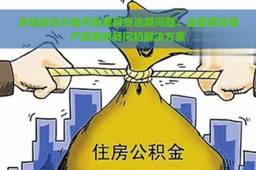 乡镇综合办如何处理网贷逾期问题：全面解决用户搜索的疑问和解决方案