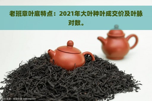 老班章叶底特点：2021年大叶种叶成交价及叶脉对数。