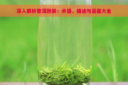 深入解析普洱熟茶：术语、描述与品鉴大全