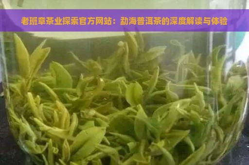 老班章茶业探索官方网站：勐海普洱茶的深度解读与体验