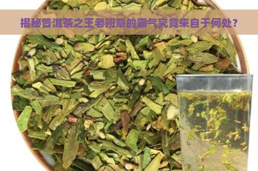 揭秘普洱茶之王老班章的霸气究竟来自于何处？