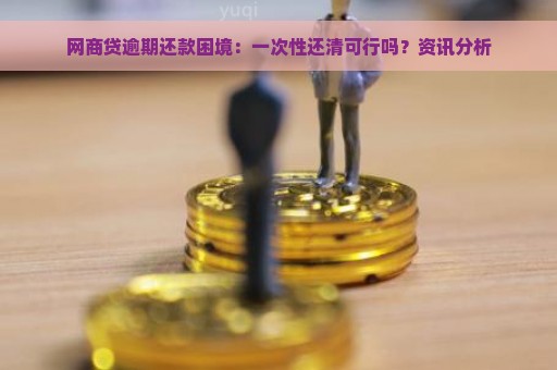 网商贷逾期还款困境：一次性还清可行吗？资讯分析