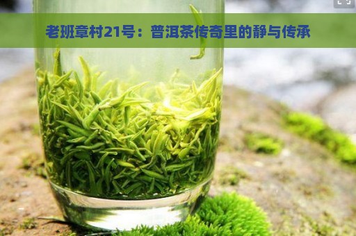 老班章村21号：普洱茶传奇里的静与传承