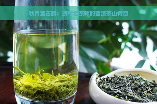 秋月堂古韵：班章老茶师的普洱茶山传奇