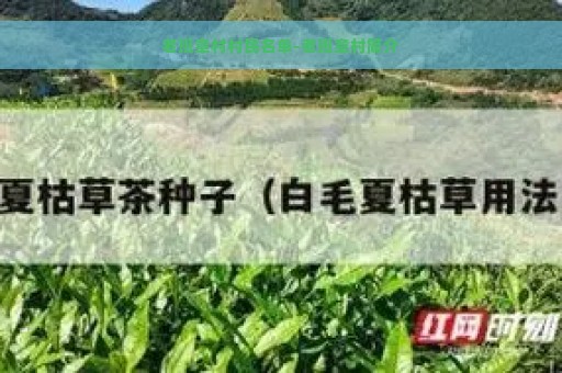 老班章村村民名单-老班章村简介