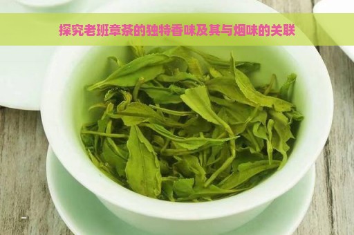 探究老班章茶的独特香味及其与烟味的关联