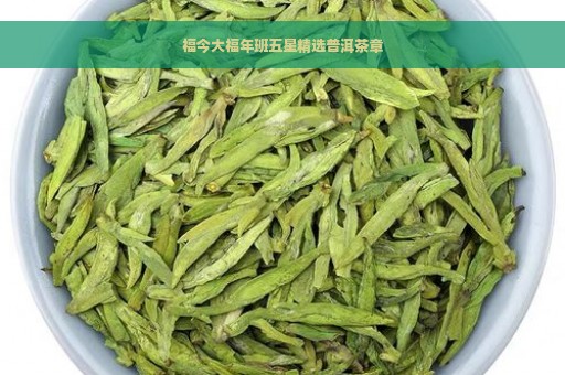 福今大福年班五星精选普洱茶章