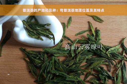 普洱茶的产地和品种：弯普洱茶地理位置及其特点