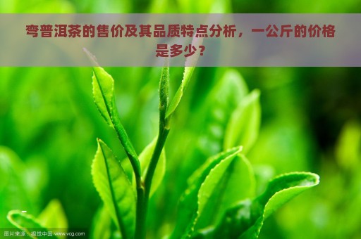 弯普洱茶的售价及其品质特点分析，一公斤的价格是多少？