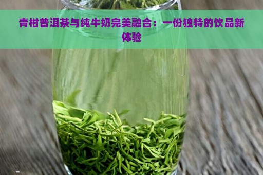 青柑普洱茶与纯牛奶完美融合：一份独特的饮品新体验