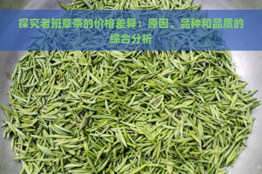 探究老班章茶的价格差异：原因、品种和品质的综合分析