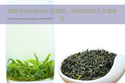 瑞聘号老班章800:品质越，古树茶的非凡价值体验